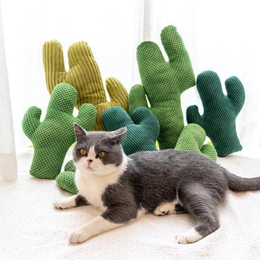 Cacti Plush Cat Toy Cat Toys KittyNook Cat Company